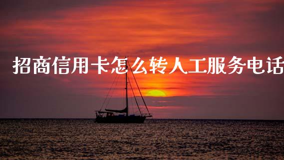 招商信用卡怎么转人工服务电话_https://m.jnlaobingbanjia.com_基金市场_第1张