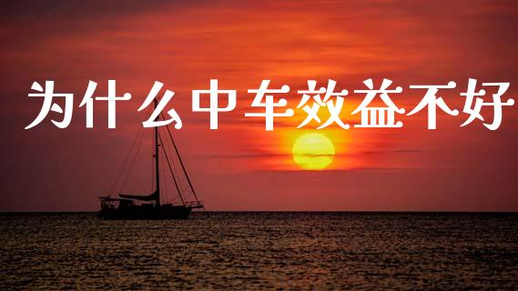 为什么中车效益不好_https://m.jnlaobingbanjia.com_金融监管_第1张