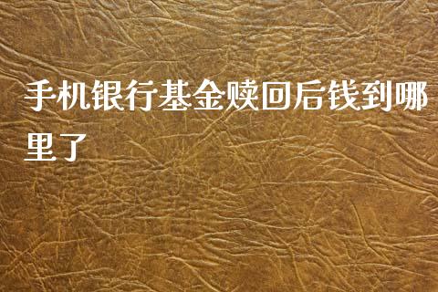 手机银行基金赎回后钱到哪里了_https://m.jnlaobingbanjia.com_基金市场_第1张