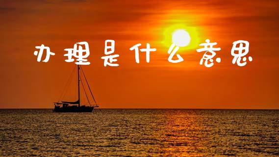 办理是什么意思_https://m.jnlaobingbanjia.com_基金市场_第1张