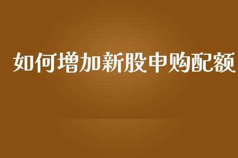 如何增加新股申购配额_https://m.jnlaobingbanjia.com_股市新闻_第1张