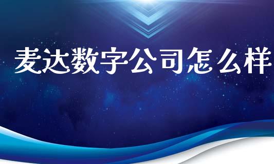 麦达数字公司怎么样_https://m.jnlaobingbanjia.com_全球市场_第1张