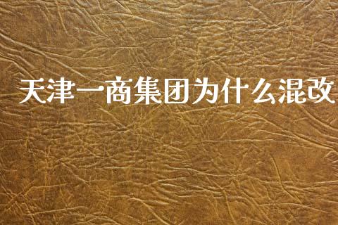 天津一商集团为什么混改_https://m.jnlaobingbanjia.com_全球市场_第1张