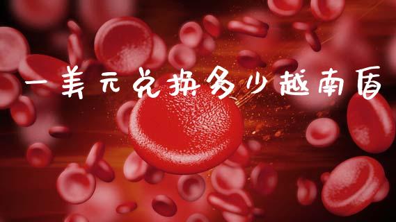 一美元兑换多少越南盾_https://m.jnlaobingbanjia.com_全球市场_第1张