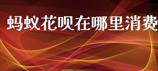 蚂蚁花呗在哪里消费_https://m.jnlaobingbanjia.com_基金市场_第1张