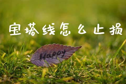 宝塔线怎么止损_https://m.jnlaobingbanjia.com_金融监管_第1张
