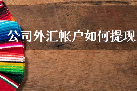 公司外汇帐户如何提现_https://m.jnlaobingbanjia.com_区块链_第1张