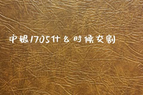 沪银1705什么时候交割_https://m.jnlaobingbanjia.com_股市新闻_第1张