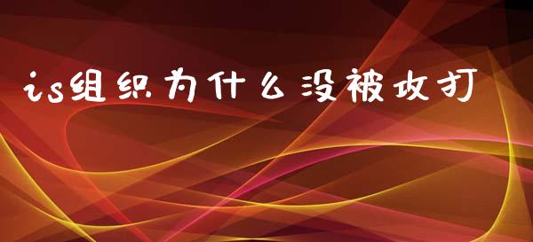 is组织为什么没被攻打_https://m.jnlaobingbanjia.com_区块链_第1张