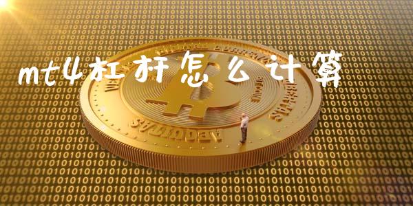 mt4杠杆怎么计算_https://m.jnlaobingbanjia.com_股市新闻_第1张
