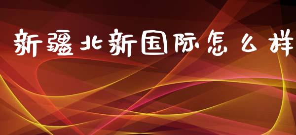 新疆北新国际怎么样_https://m.jnlaobingbanjia.com_全球市场_第1张