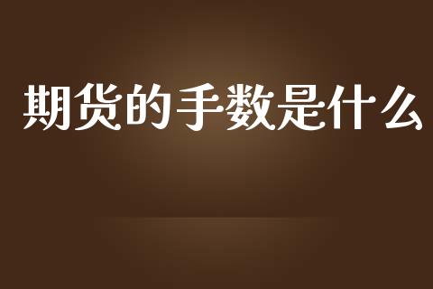 期货的手数是什么_https://m.jnlaobingbanjia.com_股市新闻_第1张