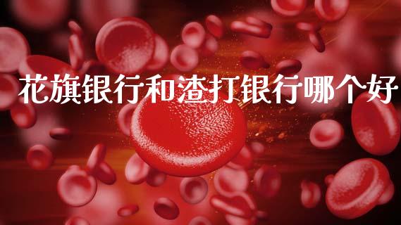 花旗银行和渣打银行哪个好_https://m.jnlaobingbanjia.com_理财规划_第1张
