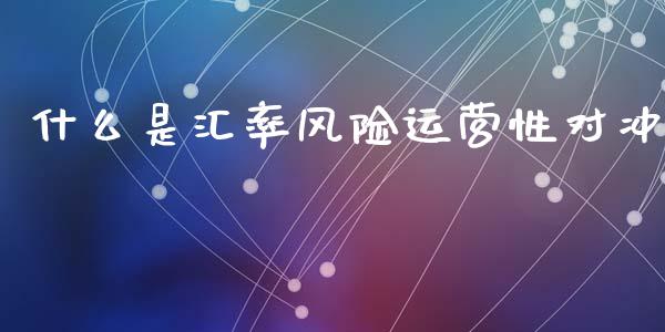 什么是汇率风险运营性对冲_https://m.jnlaobingbanjia.com_基金市场_第1张