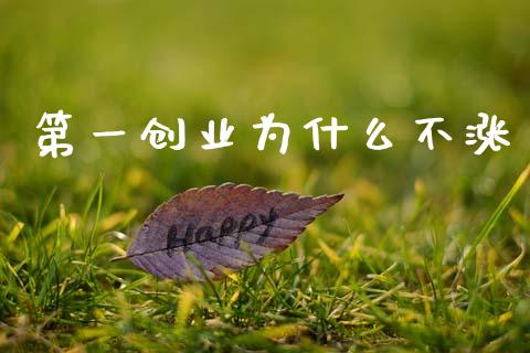 第一创业为什么不涨_https://m.jnlaobingbanjia.com_基金市场_第1张