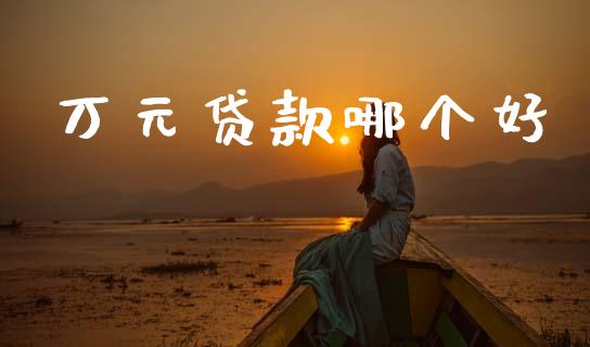 万元贷款哪个好_https://m.jnlaobingbanjia.com_基金市场_第1张