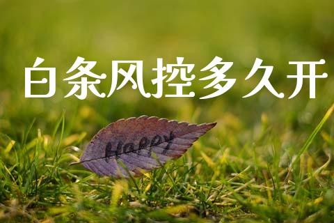 白条风控多久开_https://m.jnlaobingbanjia.com_全球市场_第1张