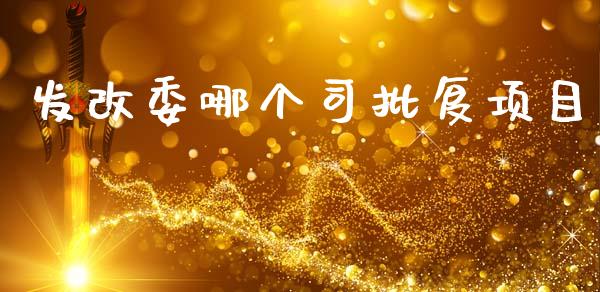 发改委哪个司批复项目_https://m.jnlaobingbanjia.com_金融监管_第1张