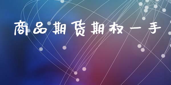 商品期货期权一手_https://m.jnlaobingbanjia.com_区块链_第1张