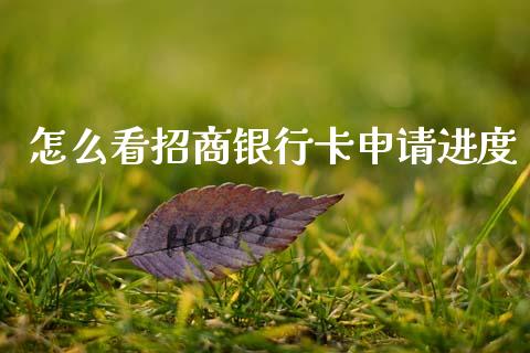 怎么看招商银行卡申请进度_https://m.jnlaobingbanjia.com_全球市场_第1张