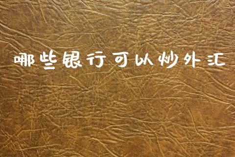 哪些银行可以炒外汇_https://m.jnlaobingbanjia.com_基金市场_第1张