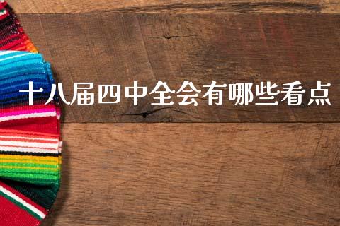 十八届四中全会有哪些看点_https://m.jnlaobingbanjia.com_金融监管_第1张