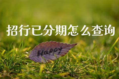 招行已分期怎么查询_https://m.jnlaobingbanjia.com_基金市场_第1张