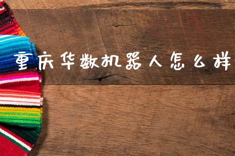 重庆华数机器人怎么样_https://m.jnlaobingbanjia.com_股市新闻_第1张