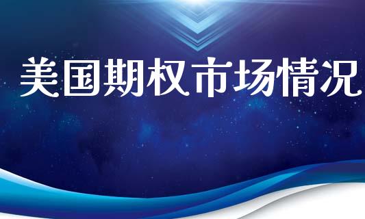 美国期权市场情况_https://m.jnlaobingbanjia.com_金融监管_第1张