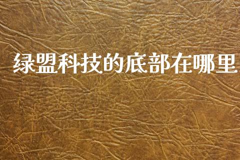绿盟科技的底部在哪里_https://m.jnlaobingbanjia.com_理财规划_第1张