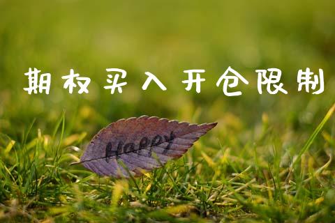 期权买入开仓限制_https://m.jnlaobingbanjia.com_理财规划_第1张