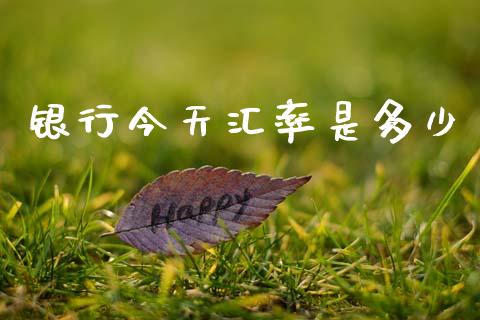 银行今天汇率是多少_https://m.jnlaobingbanjia.com_理财规划_第1张