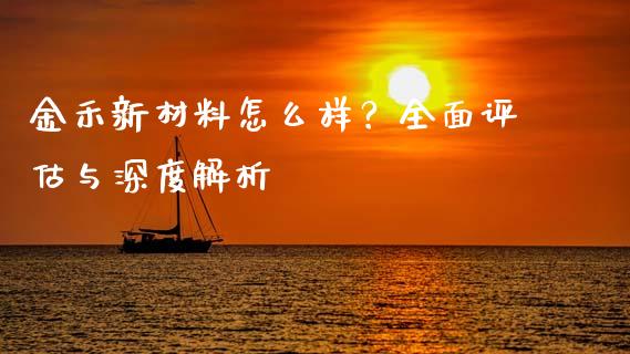 金禾新材料怎么样？全面评估与深度解析_https://m.jnlaobingbanjia.com_金融监管_第1张