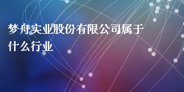 梦舟实业股份有限公司属于什么行业_https://m.jnlaobingbanjia.com_金融监管_第1张