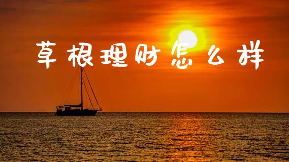 草根理财怎么样_https://m.jnlaobingbanjia.com_全球市场_第1张