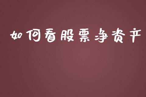 如何看股票净资产_https://m.jnlaobingbanjia.com_理财规划_第1张