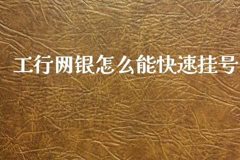 工行网银怎么能快速挂号_https://m.jnlaobingbanjia.com_金融监管_第1张