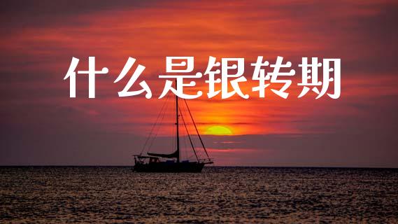 什么是银转期_https://m.jnlaobingbanjia.com_全球市场_第1张