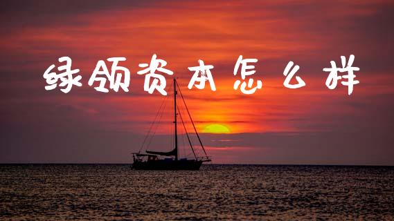 绿领资本怎么样_https://m.jnlaobingbanjia.com_股市新闻_第1张