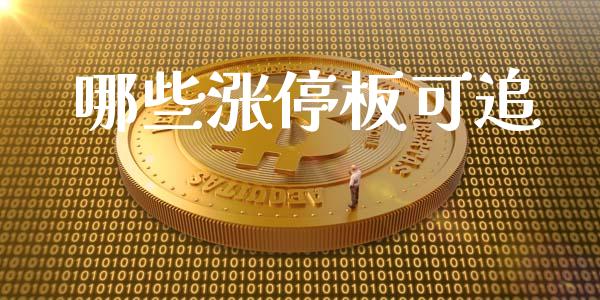 哪些涨停板可追_https://m.jnlaobingbanjia.com_全球市场_第1张
