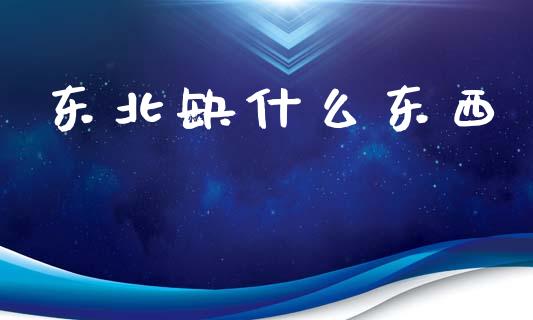 东北缺什么东西_https://m.jnlaobingbanjia.com_全球市场_第1张