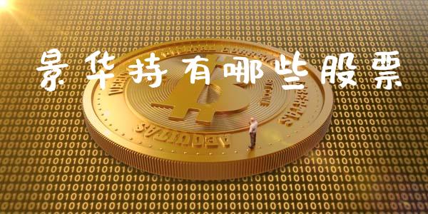 景华持有哪些股票_https://m.jnlaobingbanjia.com_基金市场_第1张