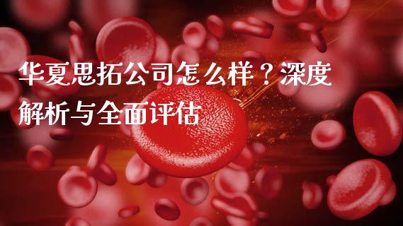 华夏思拓公司怎么样？深度解析与全面评估_https://m.jnlaobingbanjia.com_全球市场_第1张