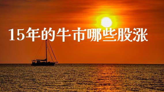 15年的牛市哪些股涨_https://m.jnlaobingbanjia.com_金融监管_第1张
