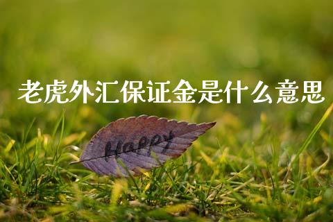 老虎外汇保证金是什么意思_https://m.jnlaobingbanjia.com_股市新闻_第1张