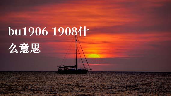 bu1906 1908什么意思_https://m.jnlaobingbanjia.com_股市新闻_第1张