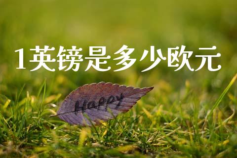 1英镑是多少欧元_https://m.jnlaobingbanjia.com_区块链_第1张