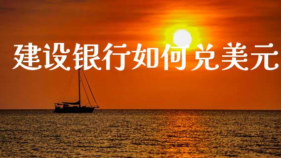 建设银行如何兑美元_https://m.jnlaobingbanjia.com_理财规划_第1张