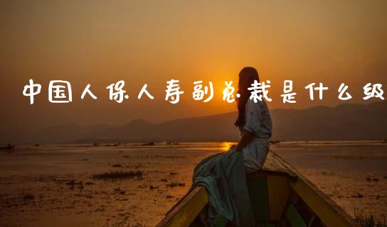 中国人保人寿副总裁是什么级_https://m.jnlaobingbanjia.com_区块链_第1张