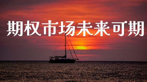 期权市场未来可期_https://m.jnlaobingbanjia.com_股市新闻_第1张